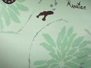 ANIMAL COLLECTIVE - Danse Manatee - Vinyl (LP) Limited Edition [New & Sealed]