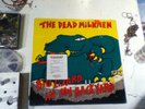 THE DEAD MILKMEN   BIG LIZARD IN MY BACKYARD LP Vinyl   ENIGMA 72054-1 