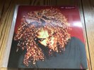 Janet Jackson - The Velvet Rope 2 xVinyl from 1997, very good cond. 724384476212