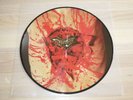 DISMEMBER PICTURE LP - INDECENT AND OBSCENE / NB077-1 PRESS in MINT-