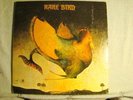 LP - RARE BIRD - SELF TITLED - ABC PROBE - PSYCH - GARAGE  - NM