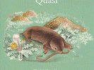 QUASI Field Studies 12
