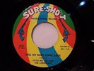 45rpm  LITTLE MR. LEE & THE CHEROKEES  Party Time  Orig 1964 Sure Shot Promo EX+