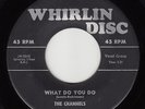 CHANNELS - Whirlin Disc 107 - What Do You Do (fast version) - DOO-WOP 45 VG/VG+