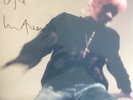 Lily Allen - No Shame LP - Signed by Lily - In hand ready to send