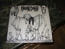 NUCLEAR DEATH 1990 Bride Of Insect EX/NM LP extreme METAL speed THRASH Wild Rags
