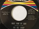 DEE DEE SHARP- What Kind Of Lady 45 Northern Soul GAMBLE EX