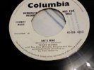 Terry Wayne .Brooklyn Bridge.Columbia.She's Mine Demo.7