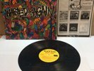 Black Flag - Wasted...Again, Vinyl LP 1987. Vintage punk rock record
