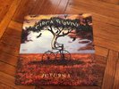Circa Survive special edition LP 