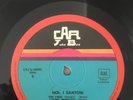 I SANTONI-NOI LP ORIGINALE CAR JUKE BOX - SOLO VINILE