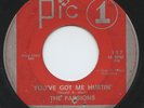 Hear- Rare Garage 45- The Passions- You've Got Me Hurtin'- Pic 1 Records # 117