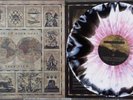 Stick to Your Guns - True View - Bone / Black Smash w Red Splatter /300 NM