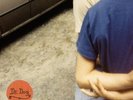 Dr. Dog - Shame Shame (Vinyl Used Like New)