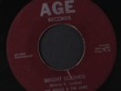 BIG MOOSE & JAMS: Bright Sounds / Off The Hook 45 (cool double-sided instro)