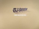DJ SHADOW - Endtroducing: 20th Anniversary Endtrospective Edition - Vinyl (6xLP)