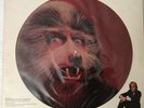 Waren Zevon-Werewolves of London, limitierte Picture Promo Vinyl, LP, 1982, M/G+
