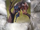 Sunny day Real Estate Circa Survive Split 7 Inch RSD