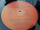 SMASHING PUMPKINS SIAMESE DREAM RARE MINT