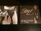 Jay Z Reasonable Doubt (ORIGINAL) Record LP/ Big L (Original) Big Picture