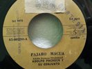 Adolfo pacheco PAJARO MACUA CUMBIA  ??? # 143