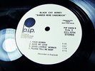 W.L. PROMO = ORIG 1969 = BLACK CAT BONES   BARBED WIRE SANDWICH HARD BLUES Psych