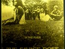 LP SAVAGE ROSE - in the Plain, NM