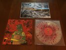 KING GIZZARD AND THE LIZARD WIZARD 12 BAR BRUISE VINYL LP RARE GARAGE PSYCH FUZZ