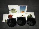 Coil - The Ape Of Naples - The New Backwards 4LP Box 2008 ltd.1200 etched