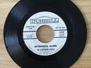 The Storybook People-Afternoon Glare garage psych 45  NM- Dunhill