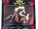 Aerosmith - When the Lightning Strikes - Vinyl LP (2 LP set) - Live in 1988