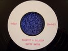 RARE TULSA ROCKABILLY DAVID GATES SWINGING BABY DOLL - WALKIN & TALKIN TEST 45