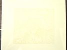 Bon Iver - For Emma, Forever Ago 10 Year Anniversary Tour Press New