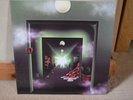 thee oh sees vinyl  A Weird Exits  inc download