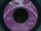 45bs-Garage-THUNDERBIRD 105- Don Barber and the Dukes