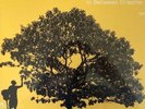 Jack Johnson In Between Dreams vinyl LP in gatefold sleeve