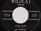 CHIFFONS: Never Never USA Rare Northern Soul Girl Group 45 HEAR