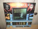IRON MAIDEN -WASTED YEARS+STRANGER IN A STRANGE- 2X12