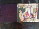 Animal Collective Feels FAT-SP11LP 2005 Release Double Vinyl