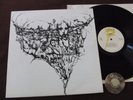 LP Giuseppi Logan More Italy | M-