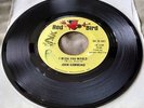 John Hammond - I Wish You Would/I Can Tell 45 (Red Bird) R&B rocker VG+