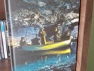 echo and the bunnymen box set