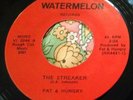 Ripping Hard Rock Proto-Punk Bonehead Fuzz 45 Fat & Hungry The Streaker NM HEAR