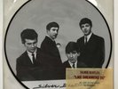 BEATLES Silver Beatles ‘Like Dreamers Do’ 7” vinyl Picture Disc #1