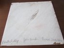 JOHN BENDER PLASTER FALLING  MINIMAL SYNTH LP ORIGINAL 1ST PRESS RS-003
