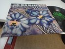 BIG SLEEP BLUEBELL WOOD 1971 MINT TOP RARE PROGRESSIVE