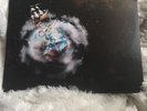 Violent Waves [Indie Only LP] by Circa Survive (Vinyl, Aug-2012, Self Released)