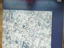 Saccharine Trust ‎– Worldbroken LP UK Issue 1985 SST 046 VG+/NM