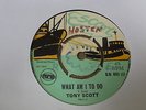Tony Scott - What Am I To Do 1969 UK 45 ESCORT SKA/ROCKSTEADY