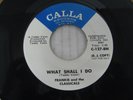 FRANKIE and the CLASSICALS what shall I do 7